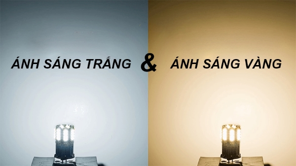 Nên dùng ánh sáng vàng hay trắng?